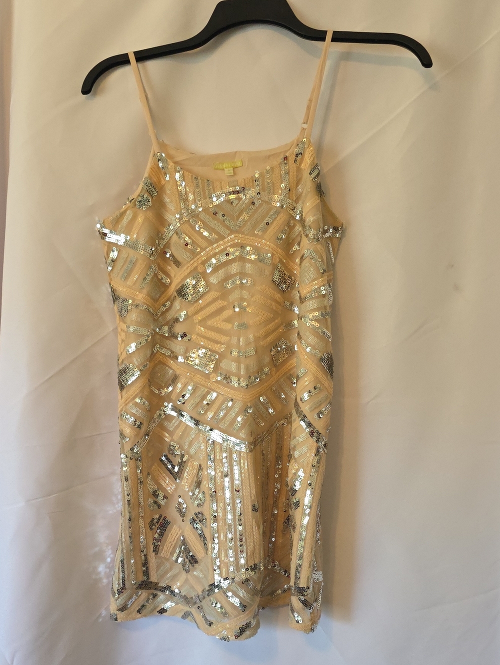 Gianni Bini Beige Mini Dress with Silver Sequin Accents